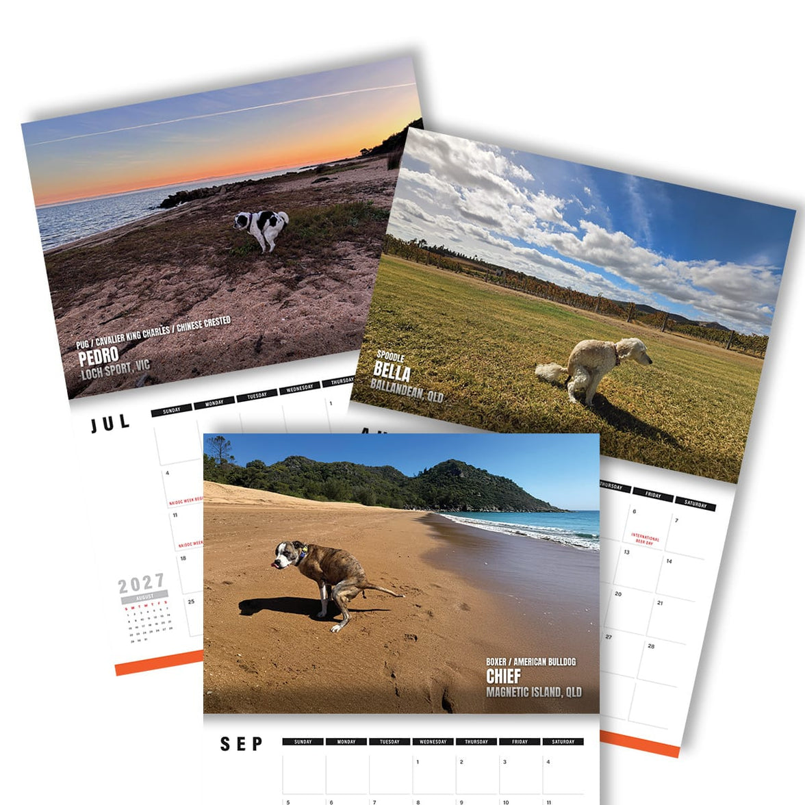 Dogs Pooping in Beautiful 'Australian' Places 💩🐶 - 2027 Calendar