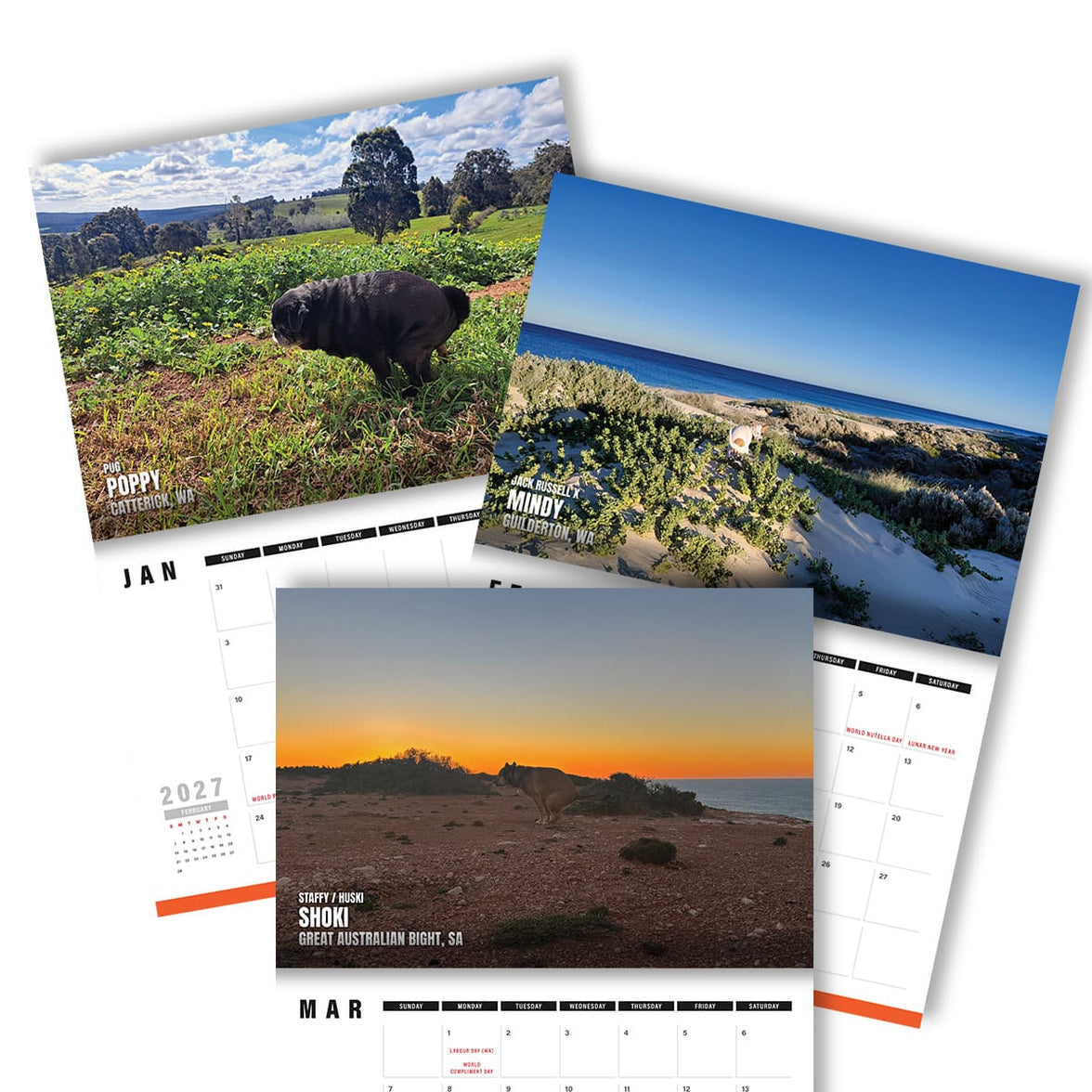 Dogs Pooping in Beautiful 'Australian' Places 💩🐶 - 2027 Calendar