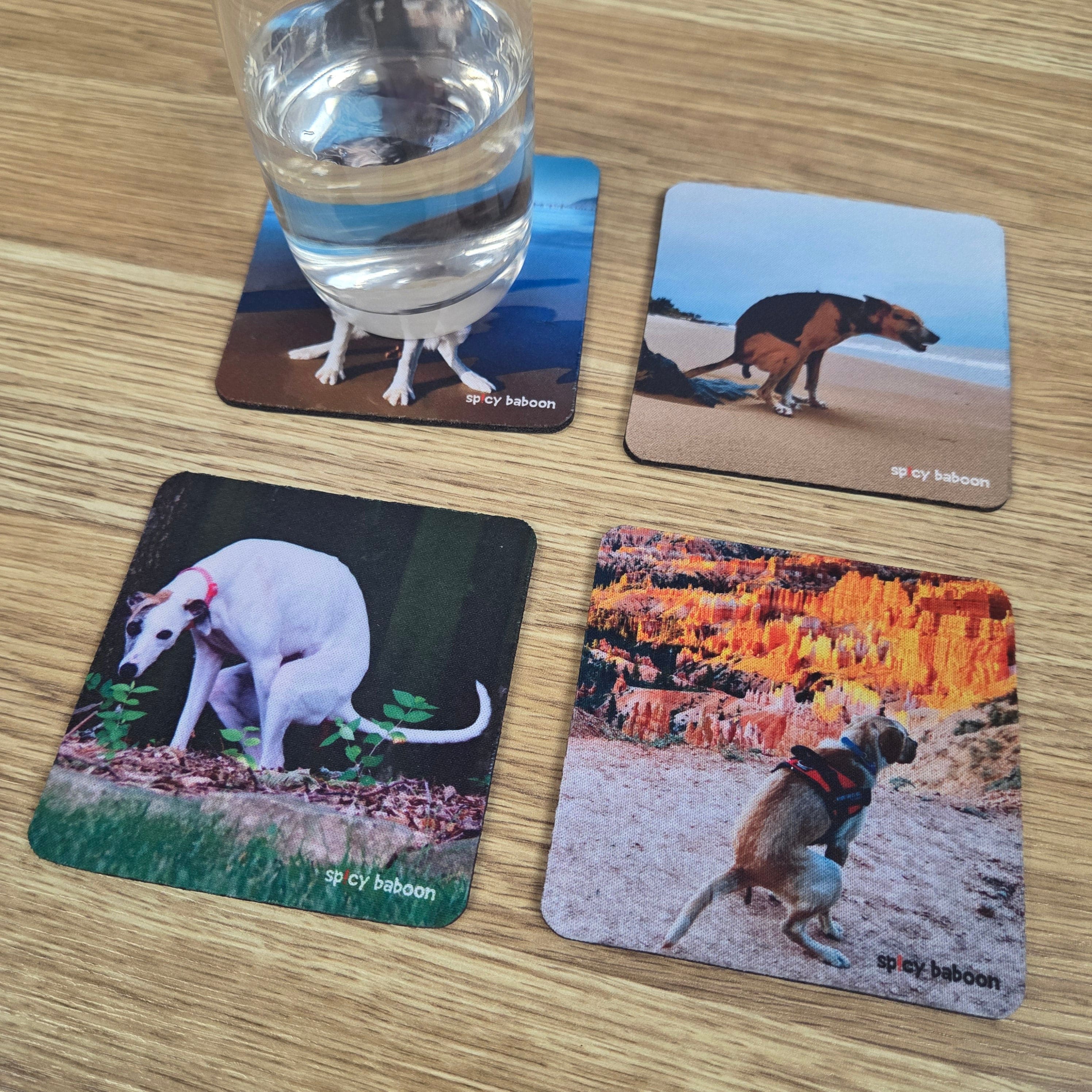 Dogs Pooping Set (4-Pack) - Coaster Set 💩🍻