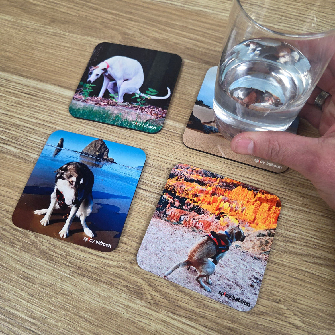 Dogs Pooping Set (4-Pack) - Coaster Set 💩🍻