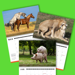 Humping Animals 🐦🐝 - 2026 Calendar