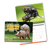 Humping Animals 🐦🐝 - 2026 Calendar