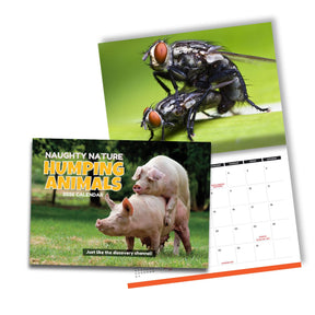 Humping Animals 🐦🐝 - 2026 Calendar