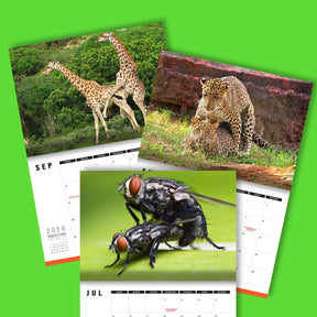 Humping Animals 🐦🐝 - 2026 Calendar