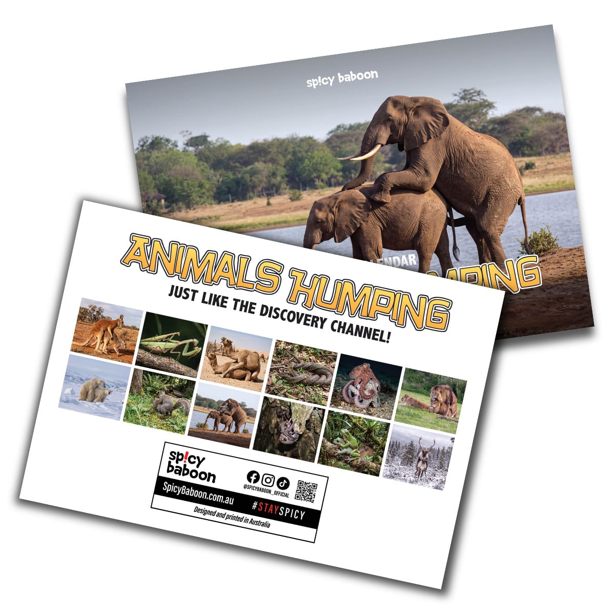 Humping Animals 🐦🐝 - 2027 Calendar