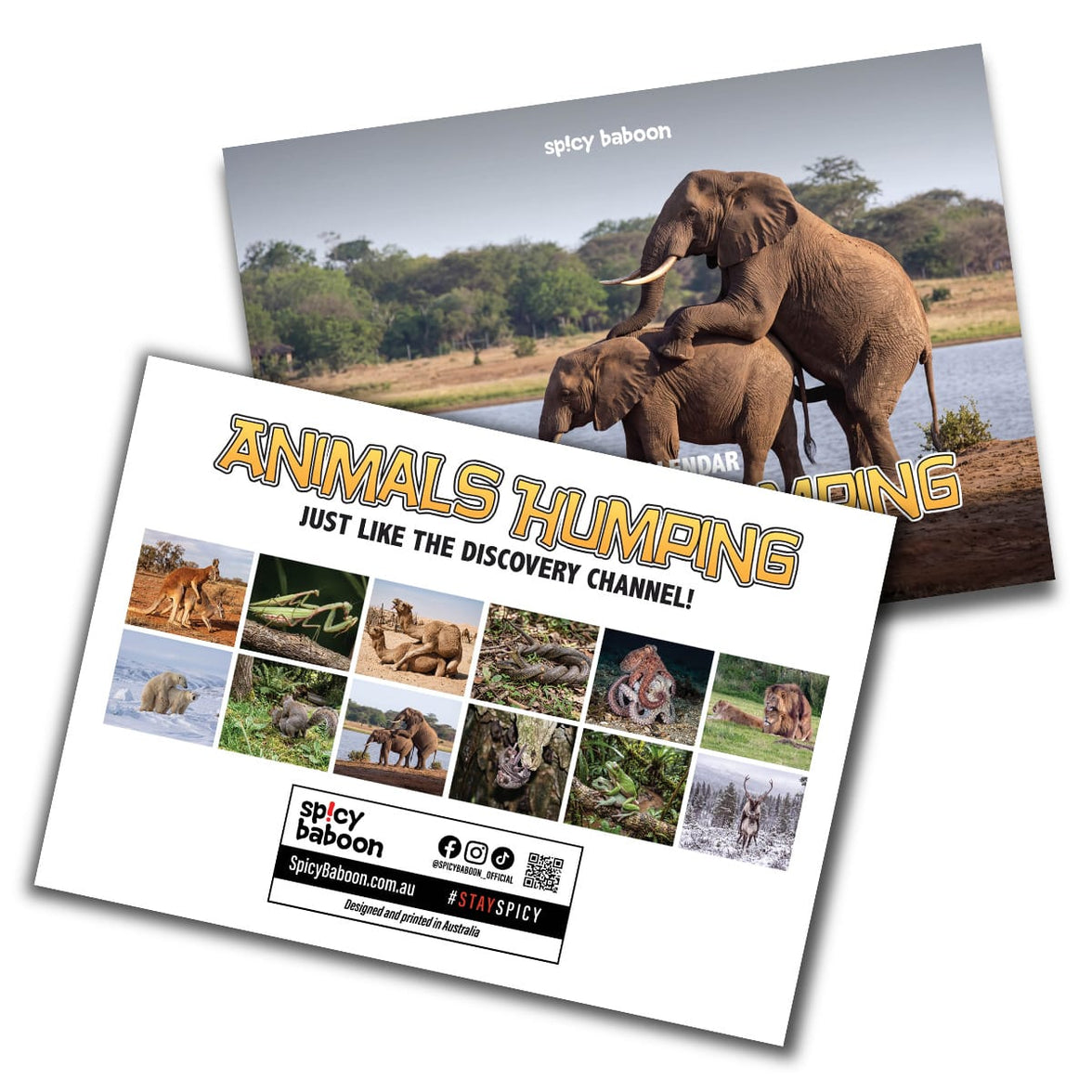 Humping Animals 🐦🐝 - 2027 Calendar