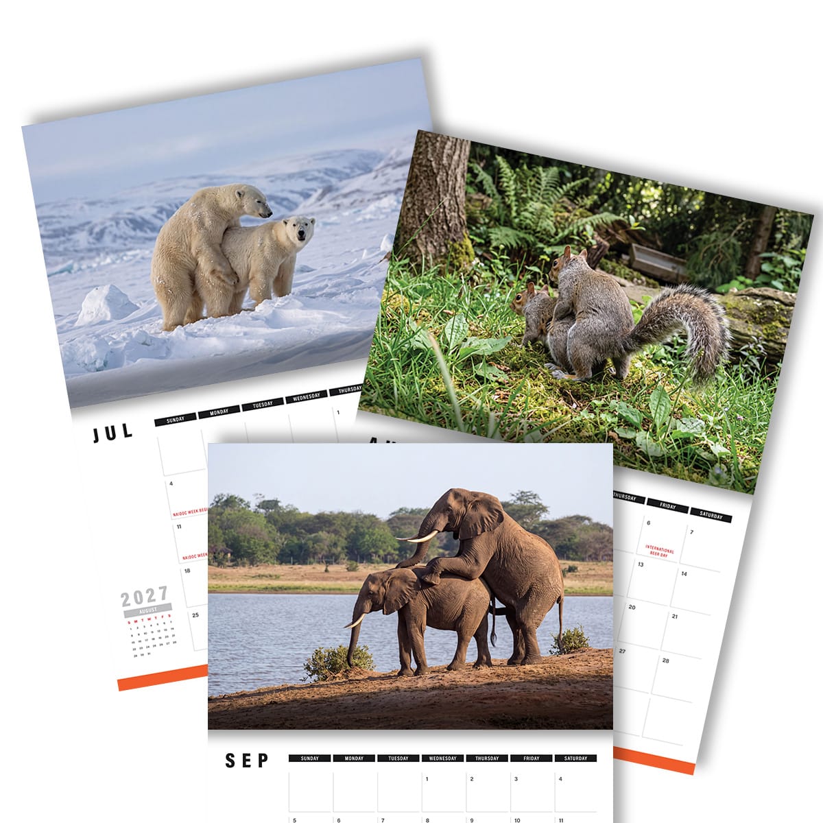 Humping Animals 🐦🐝 - 2027 Calendar