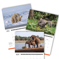Humping Animals 🐦🐝 - 2027 Calendar