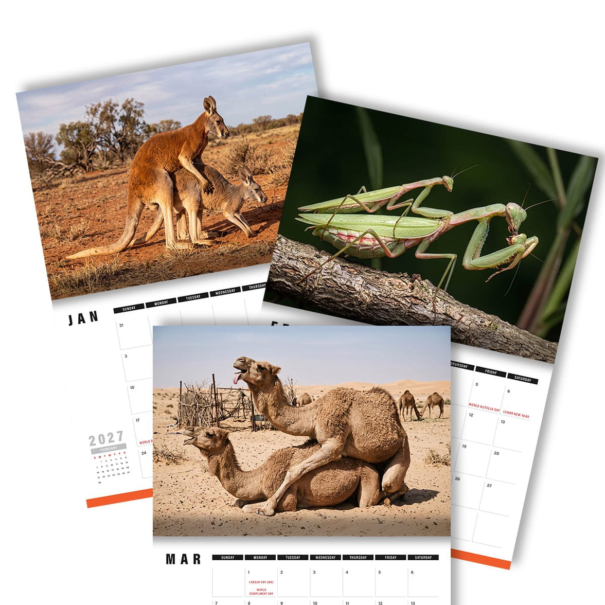 Humping Animals 🐦🐝 - 2027 Calendar