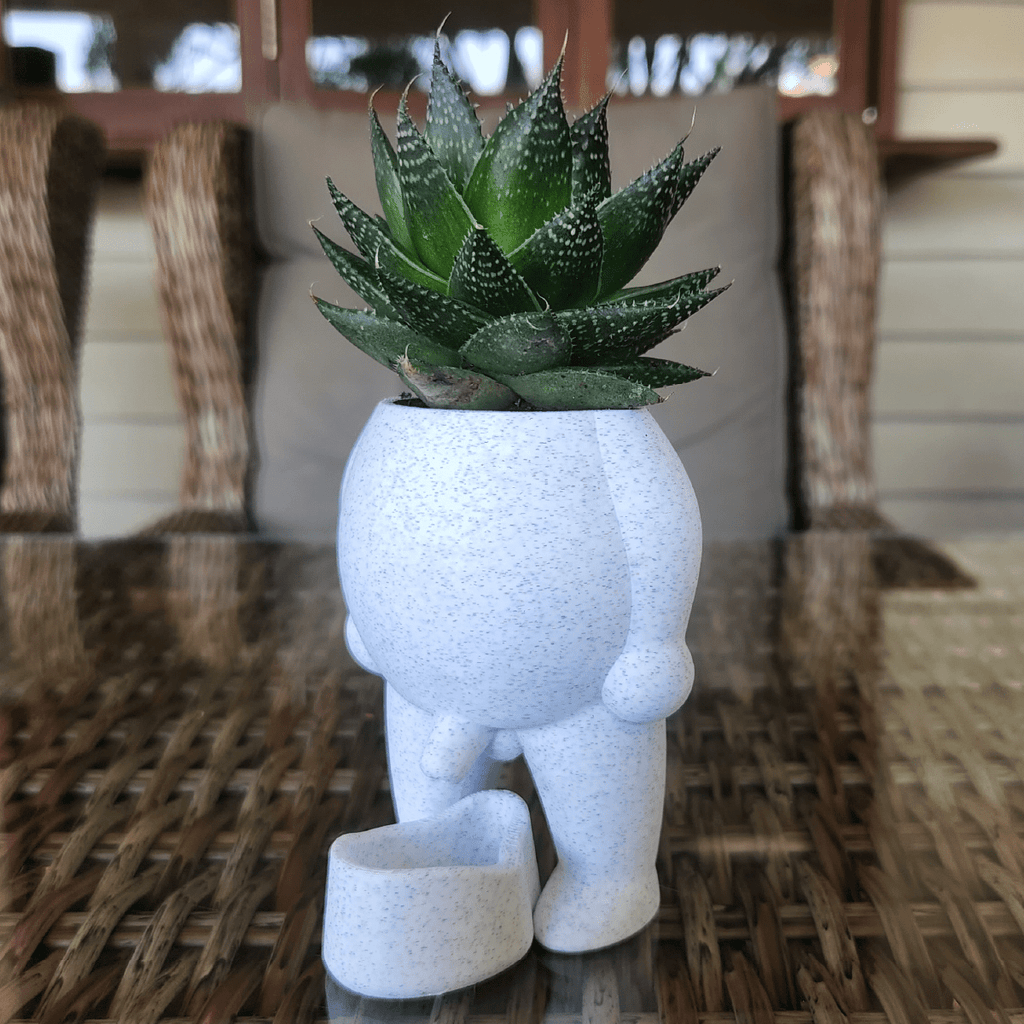 nature-s-call-naughty-planter-