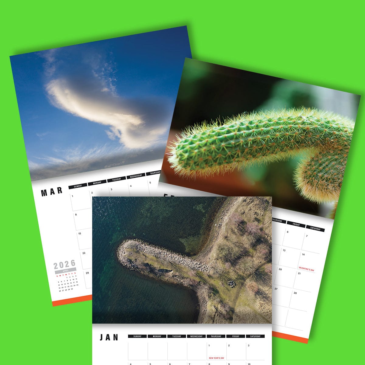 Naughty Nature 🌵🍑 - 2026 Calendar