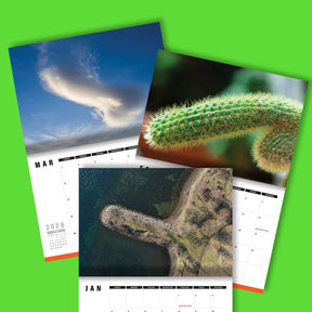 Naughty Nature 🌵🍑 - 2026 Calendar