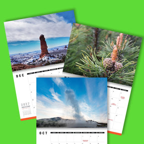 Naughty Nature 🌵🍑 - 2026 Calendar