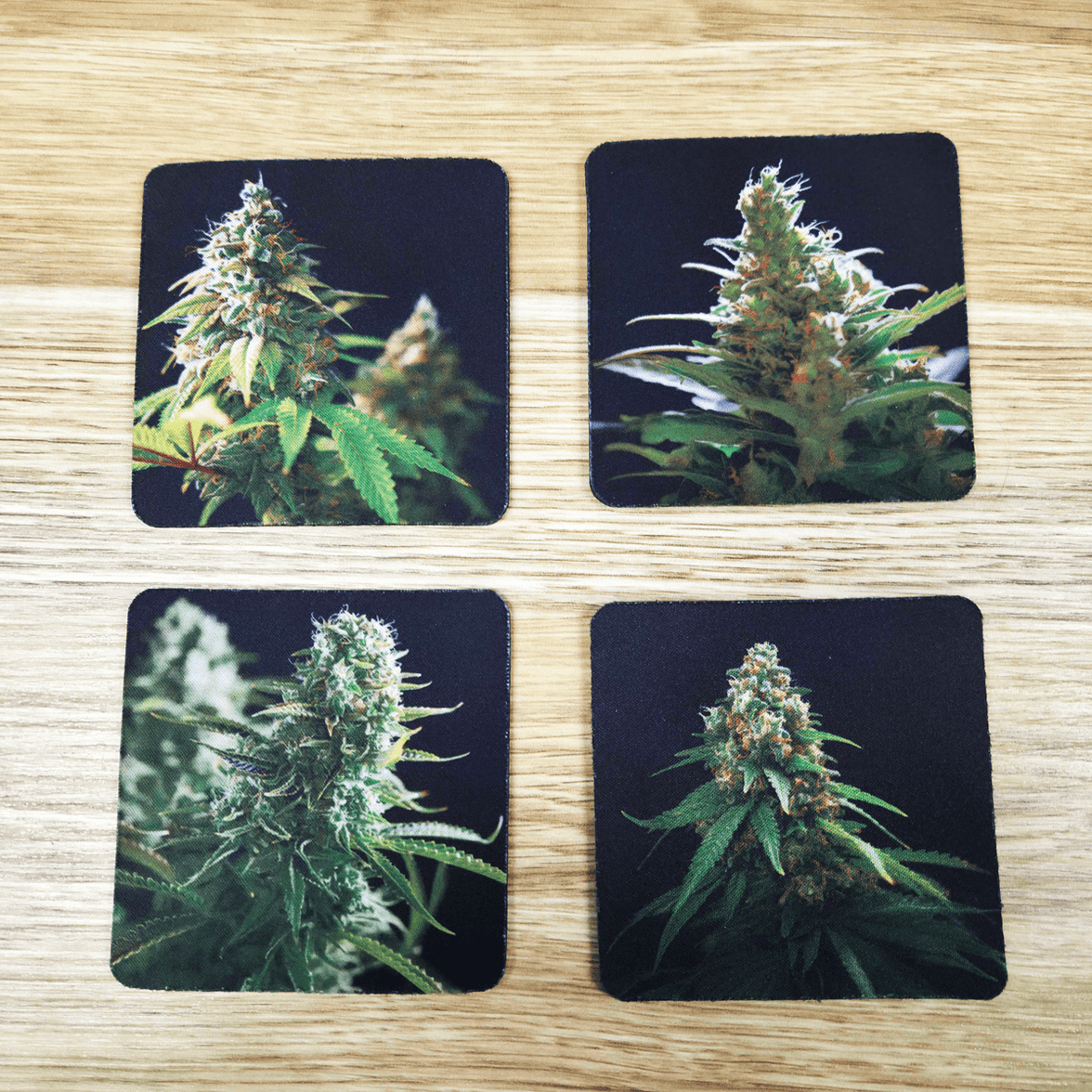 Neoprene-Base + Soft Surface 420 (4-Pack) - Coaster Set
