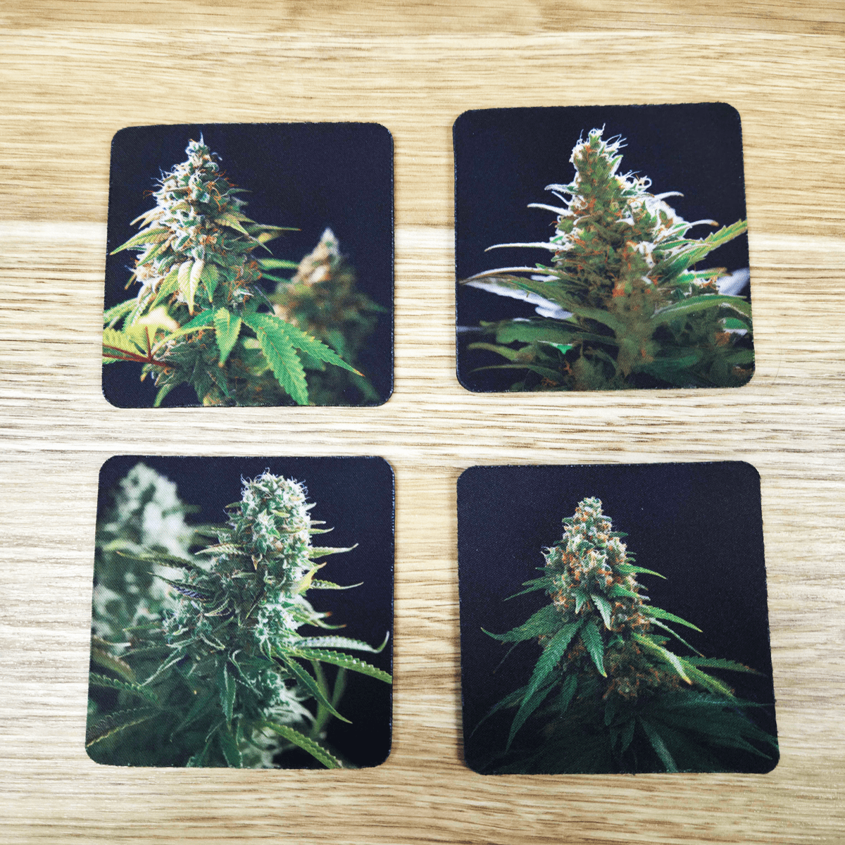Neoprene-Base + Soft Surface 420 (4-Pack) - Coaster Set