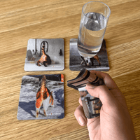 Neoprene-Base + Soft Surface Cats Bums (4-Pack) - Coaster Set 🐈😹