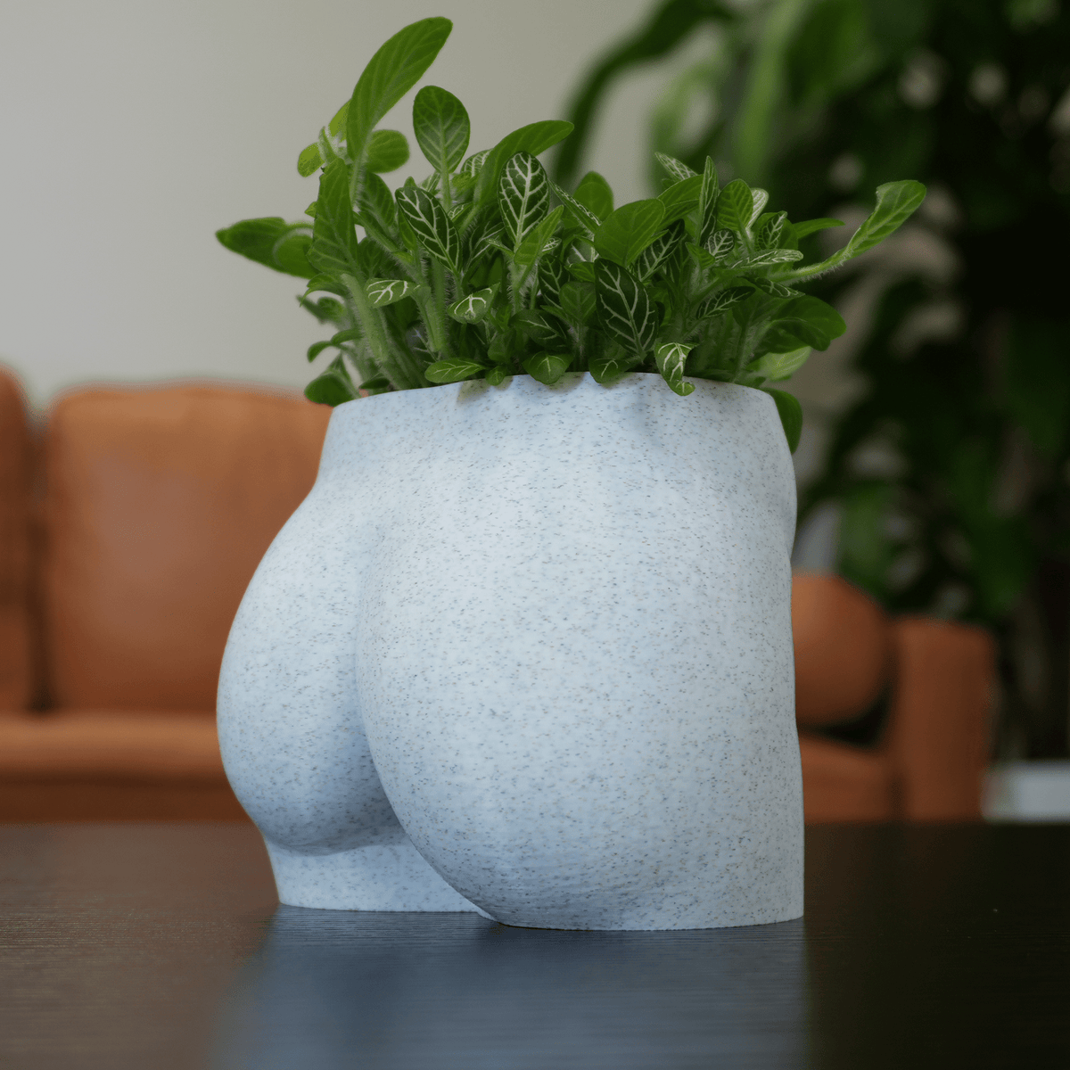 bum plant pot Nice Butt 🍑🪴