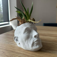 Rock Head 🪨- Planter / Pen Holder