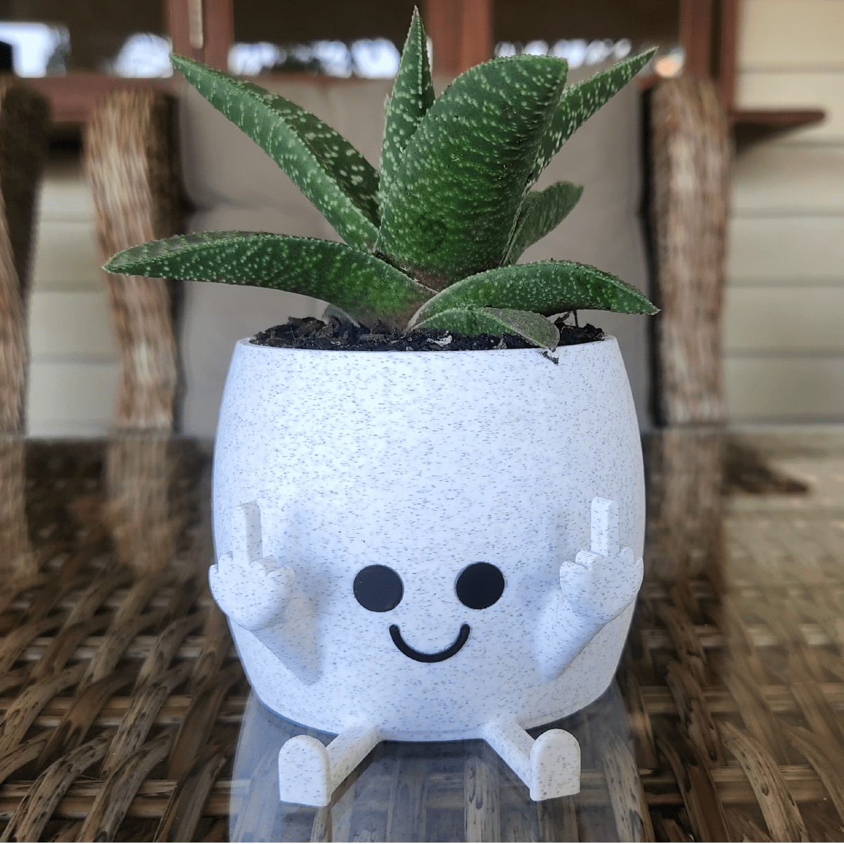 novelty pot plant holders Sassy & Happy ๐