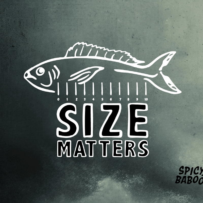 Size Matters 🐟📏 – Stubby Holder