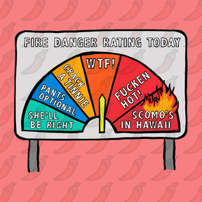 Aussie Fire Danger Rating 🚒 - Unisex Hoodie