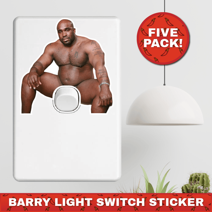 Big Barry 🍆💡 - Light Switch Sticker Prank (5 Pack!)
