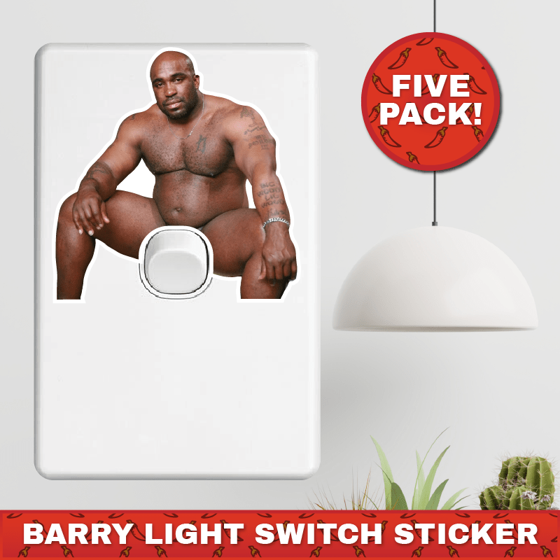 Big Barry 🍆💡 - Light Switch Sticker Prank (5 Pack!)