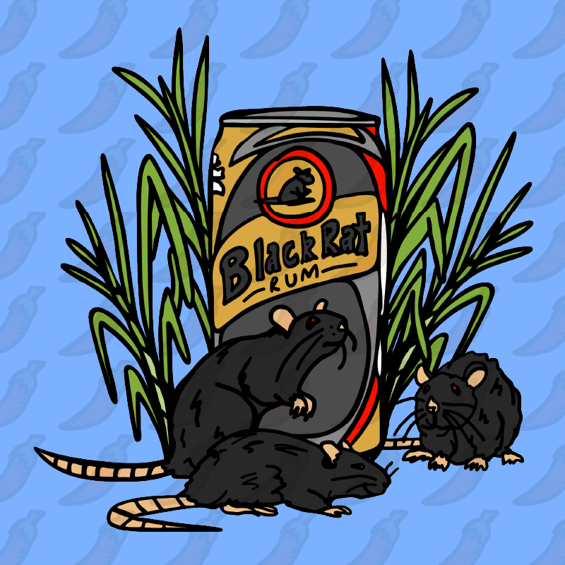 Black Rat 🐀 - Stubby Holder