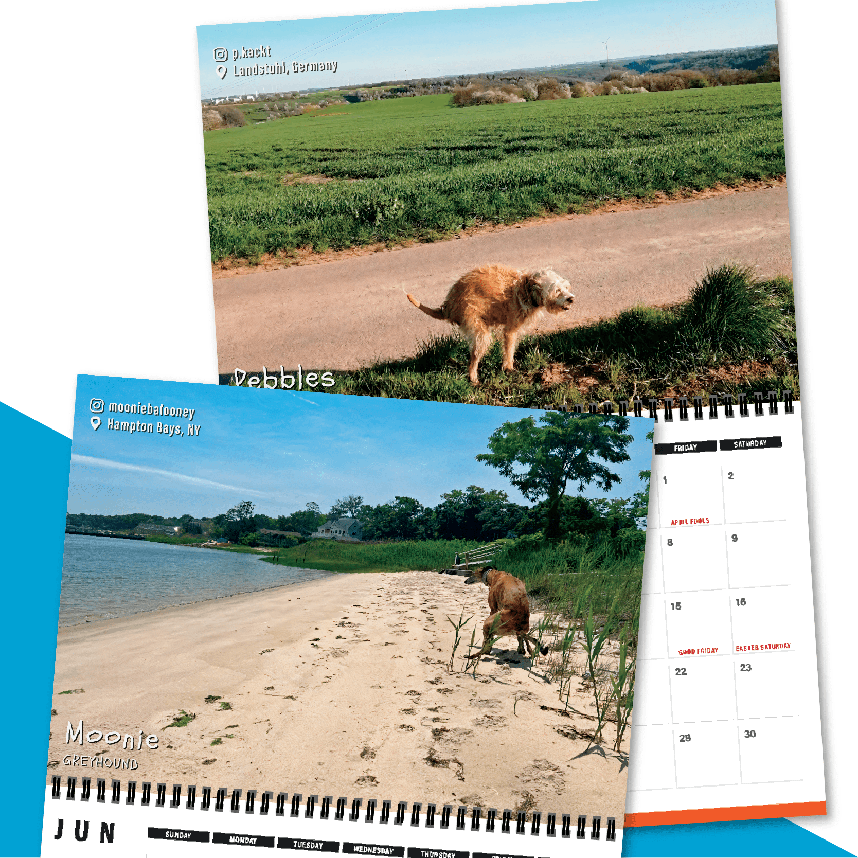 Dogs Pooping in Beautiful Places 💩🐶 - 2023 Calendar