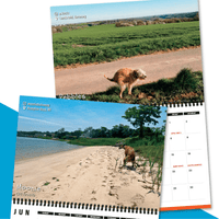 Dogs Pooping in Beautiful Places 💩🐶 - 2023 Calendar