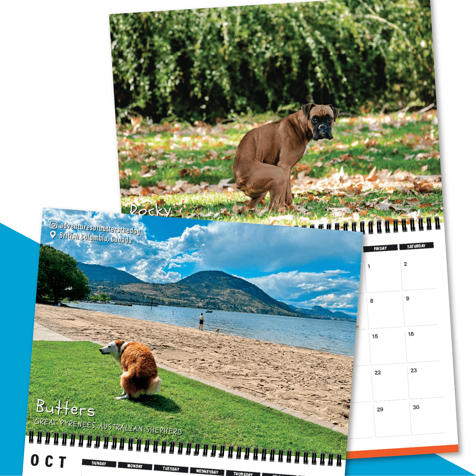 Dogs Pooping in Beautiful Places 💩🐶 - 2023 Calendar