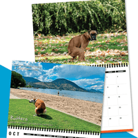 Dogs Pooping in Beautiful Places 💩🐶 - 2023 Calendar