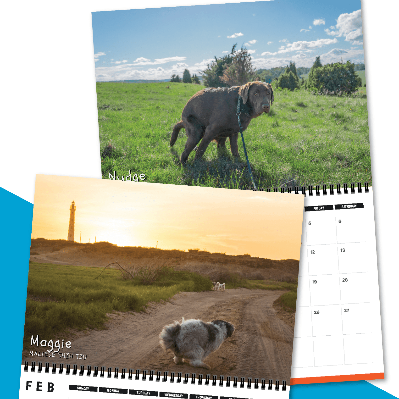 Dogs Pooping in Beautiful Places 💩🐶 - 2023 Calendar
