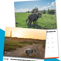 Dogs Pooping in Beautiful Places 💩🐶 - 2023 Calendar
