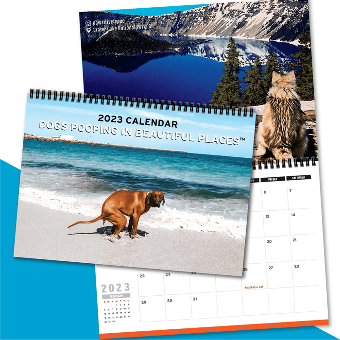 Dogs Pooping in Beautiful Places 💩🐶 - 2023 Calendar
