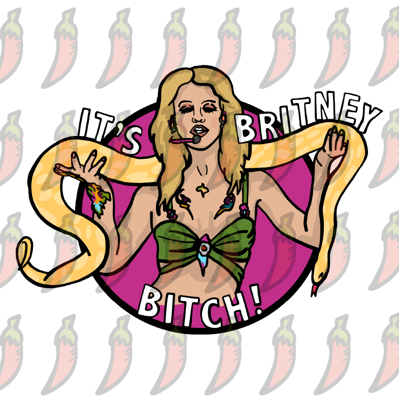 It's Britney 🐍 - Stubby Holder