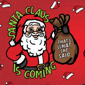 Santa is Coming 🎅🎄- Stubby Holder
