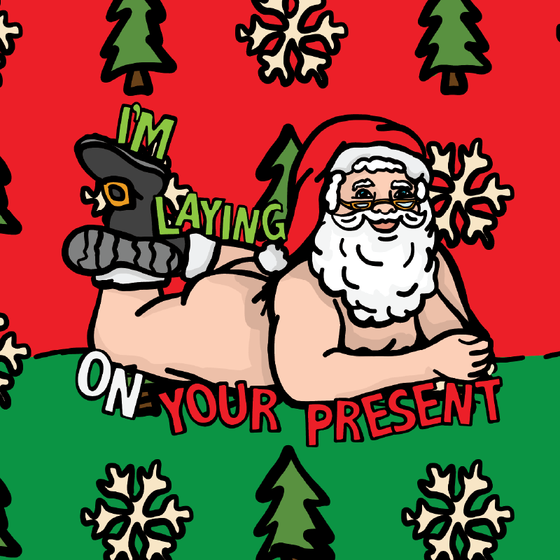 Santa’s Present 🎅🎄- Stubby Holder