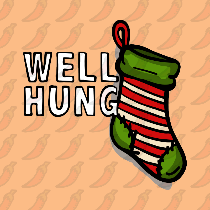 Well Hung 🧦🎄- Women's Crop Top